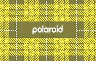 Polaroid
